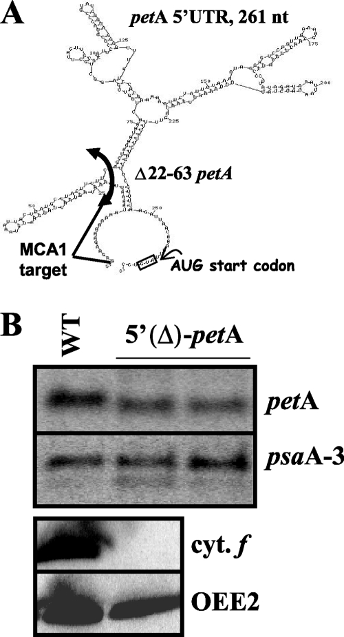 FIG. 9.