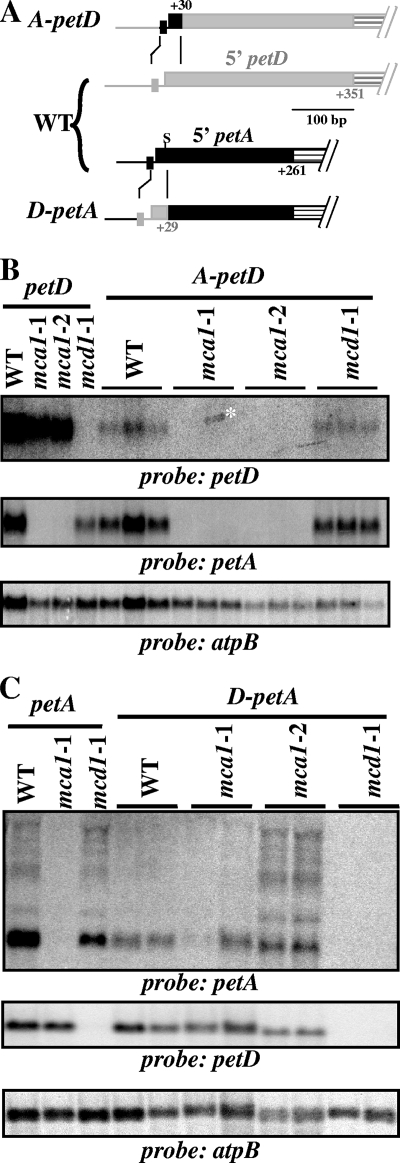 FIG. 6.