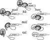 FIG. 10.