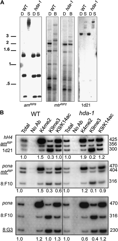 Figure 4.—