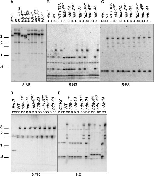 Figure 2.—