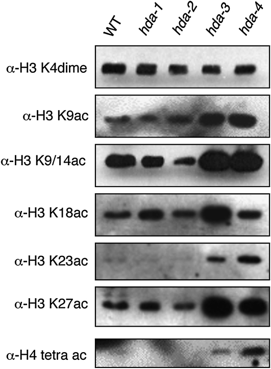 Figure 3.—