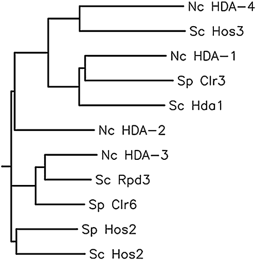 Figure 1.—