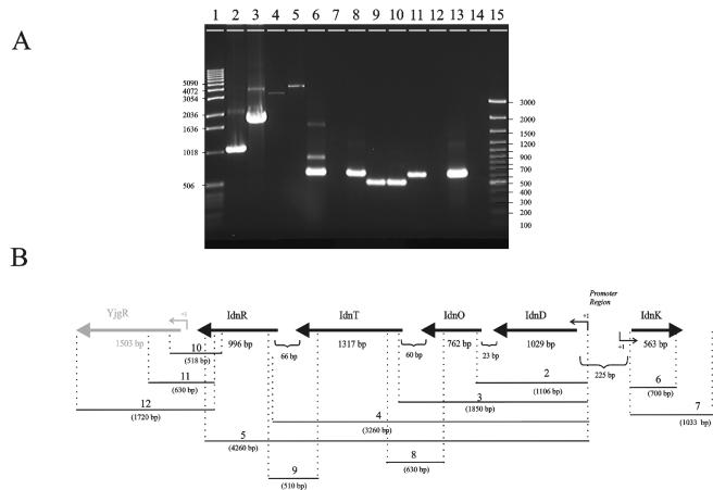 FIG. 3.