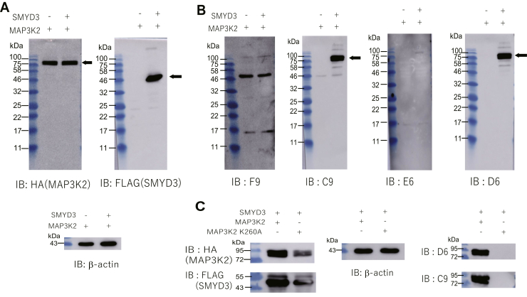 Figure 3