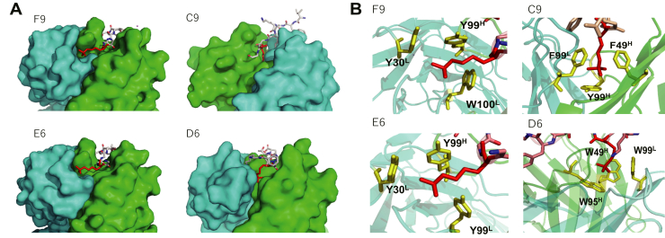 Figure 4