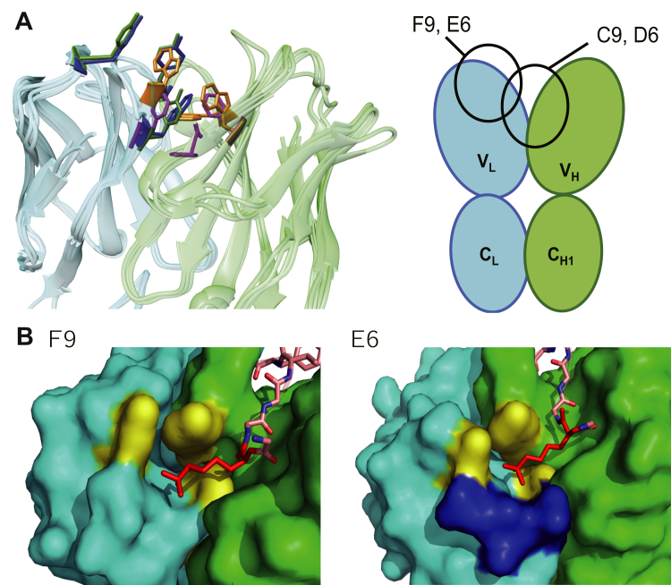 Figure 6