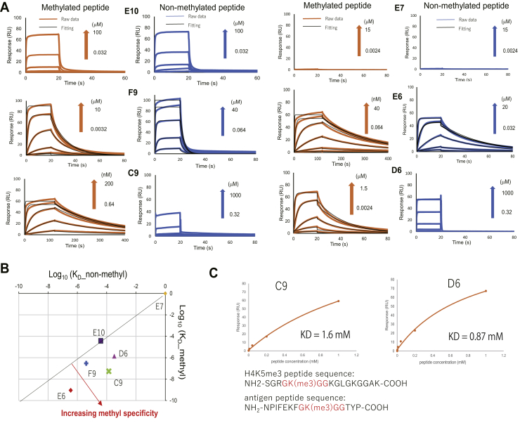 Figure 2