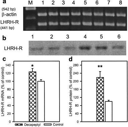 Fig 6.