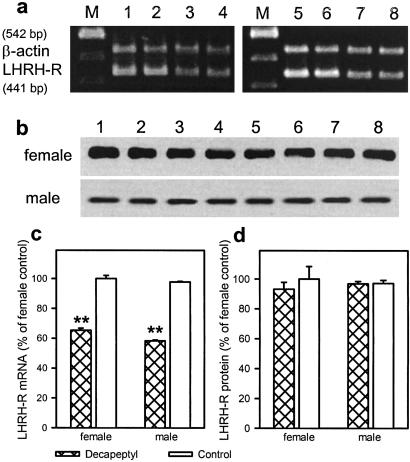 Fig 4.