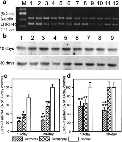 Fig 2.