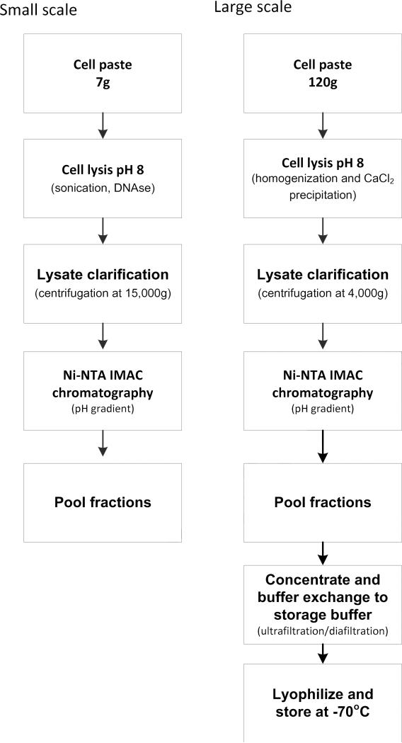 Fig.2