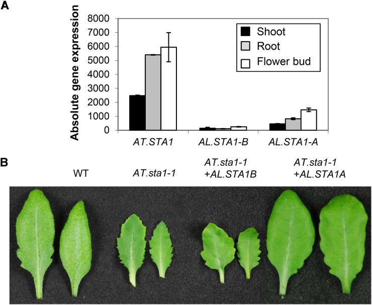 Figure 4.