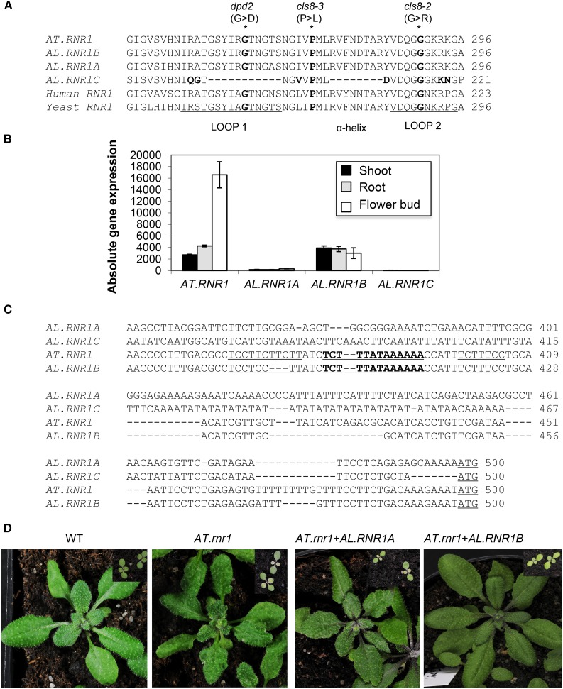 Figure 2.