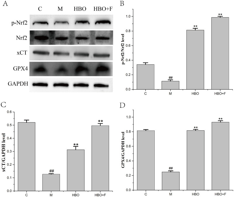 Fig 10