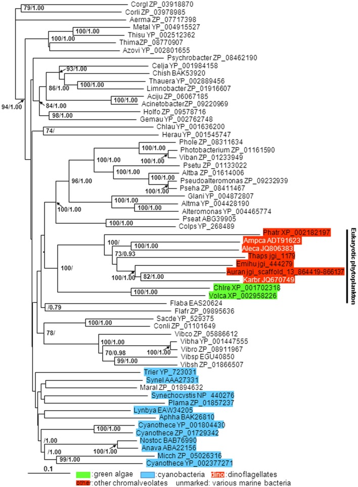 Figure 2