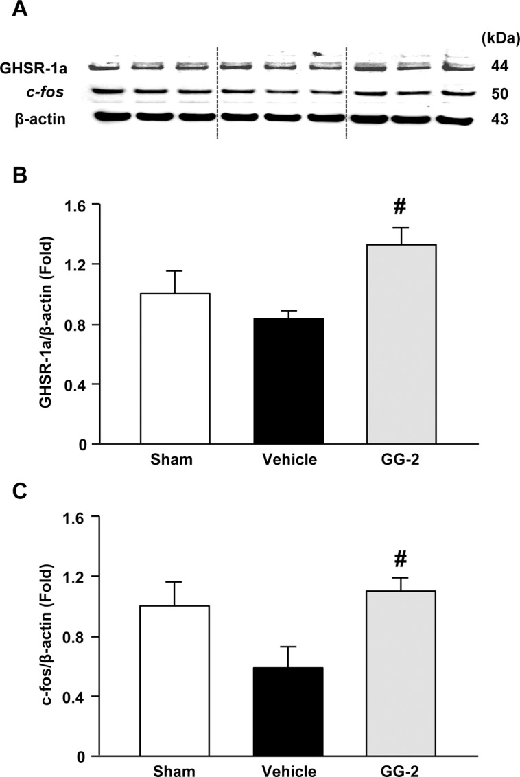 Figure 9.