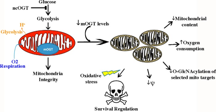 FIGURE 10.