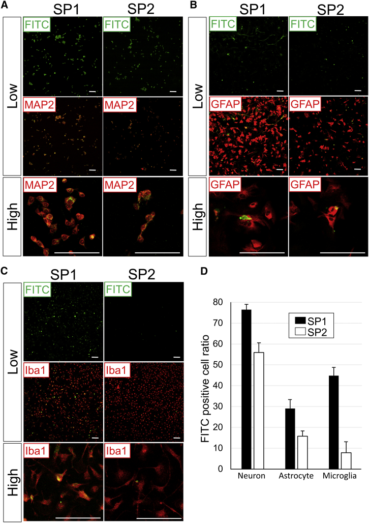 Figure 4