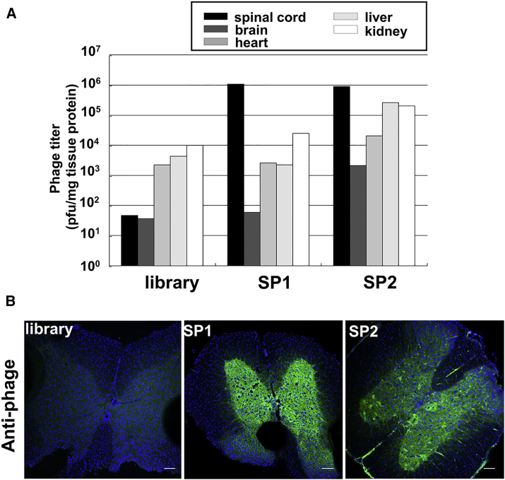 Figure 2