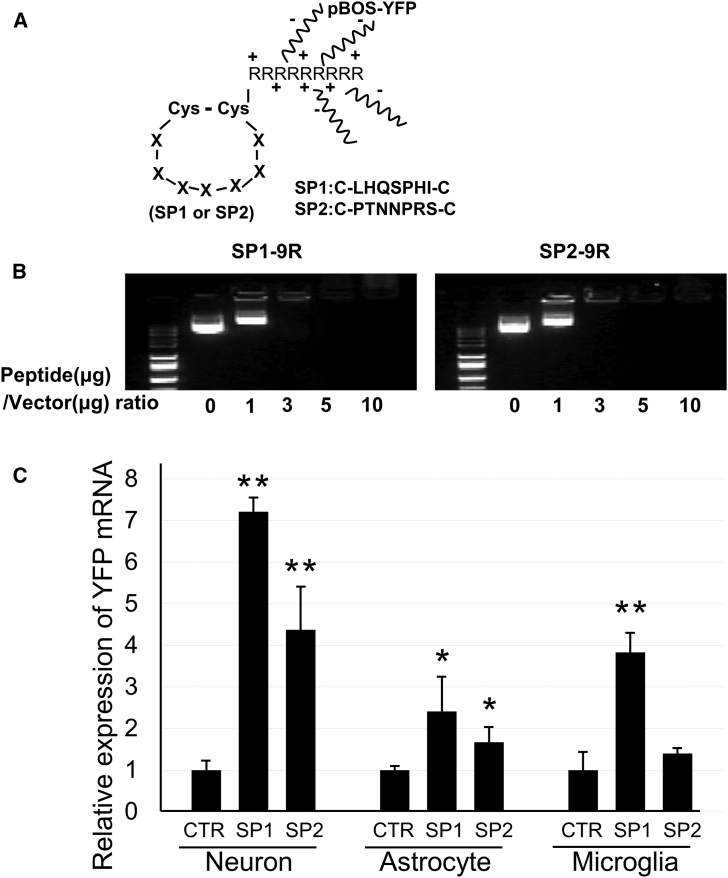 Figure 5