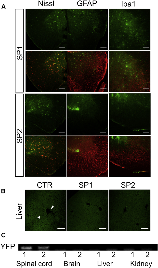 Figure 6