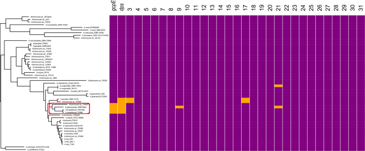 Fig 3