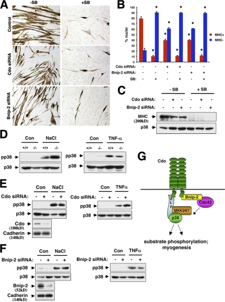 Figure 10.