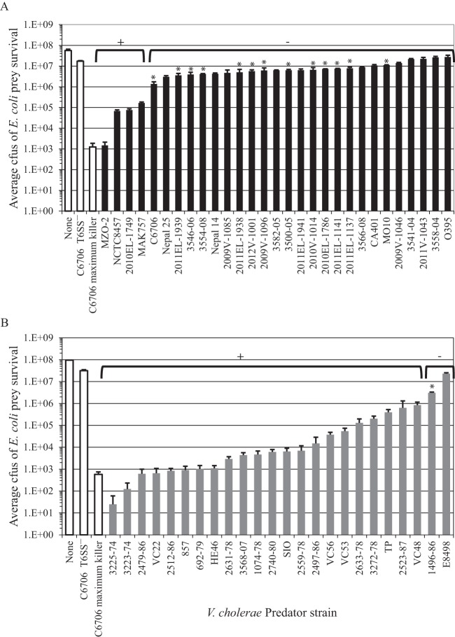 FIG 2