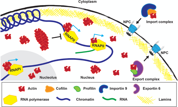 Figure 3: