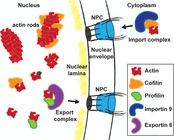 Figure 1: