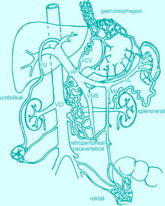 graphic file with name 978-3-642-24710-1_14_Fig2_HTML.jpg