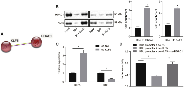 Figure 5