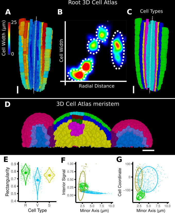 Figure 4—figure supplement 1.