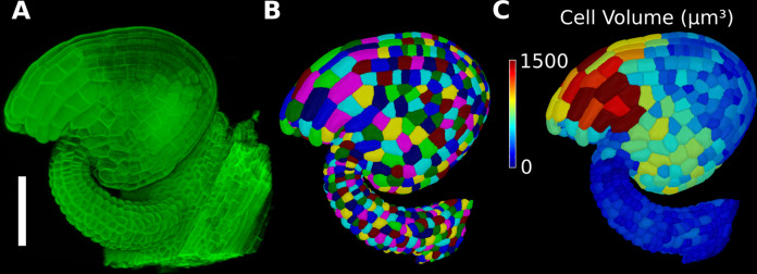 Figure 1—figure supplement 1.