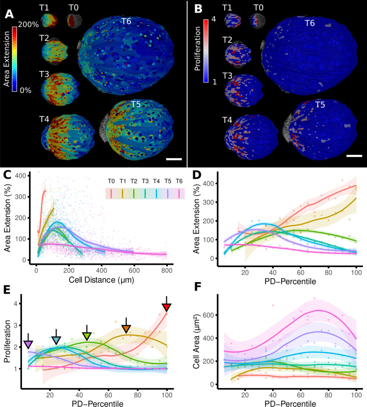 Figure 2—figure supplement 1.