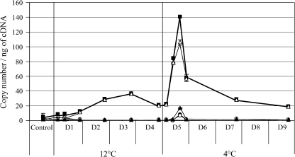 Fig. 5.