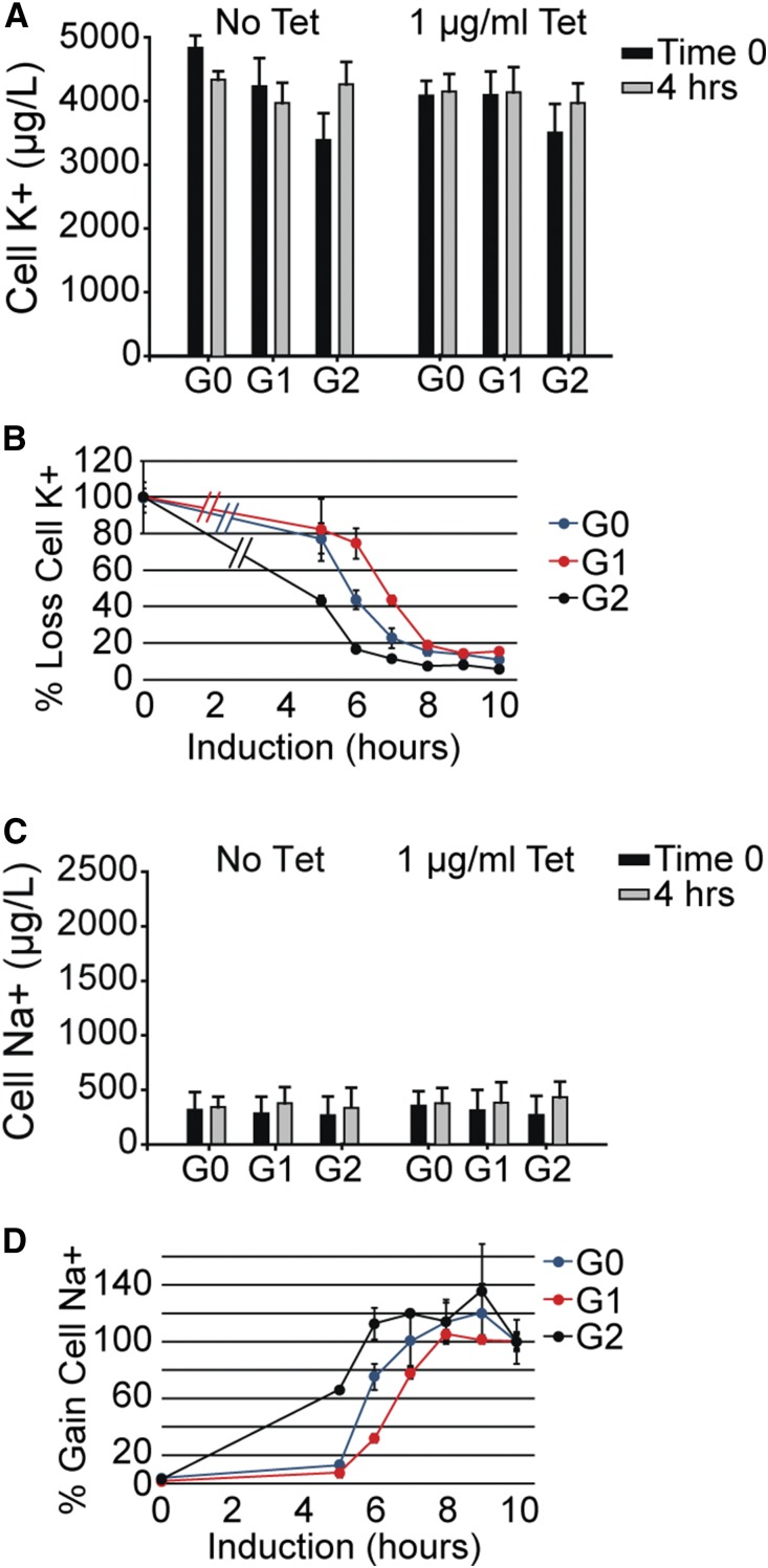 Figure 5.