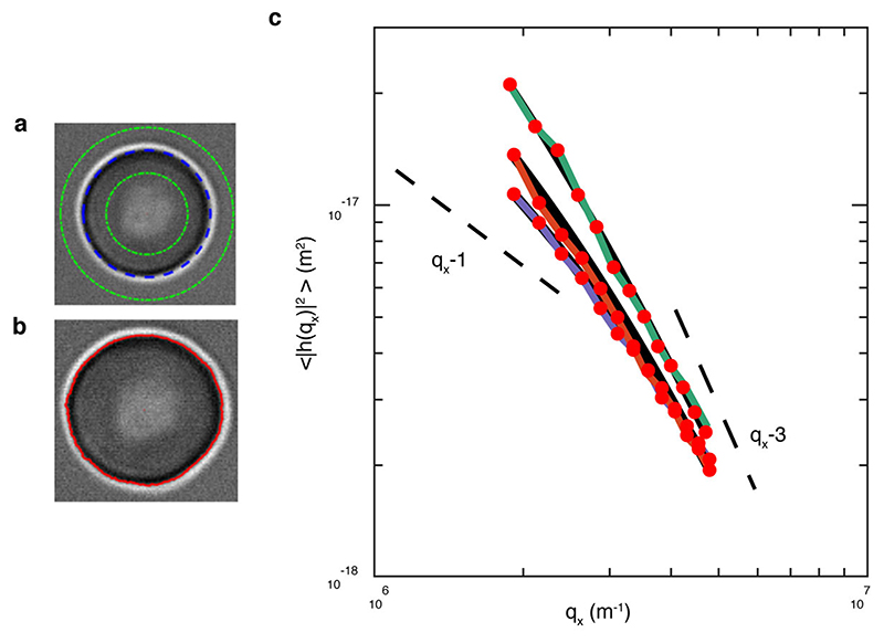 Extended Data Figure 5