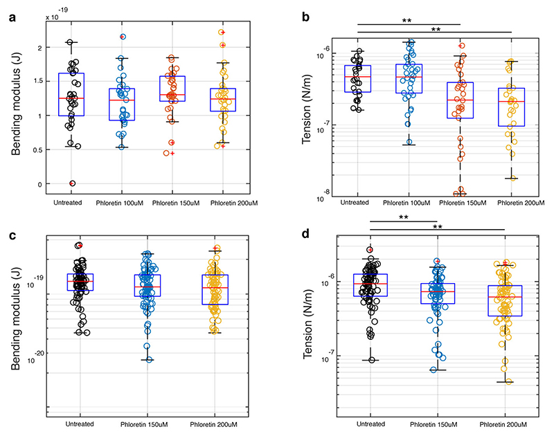 Extended Data Figure 7