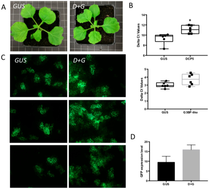 Figure 7