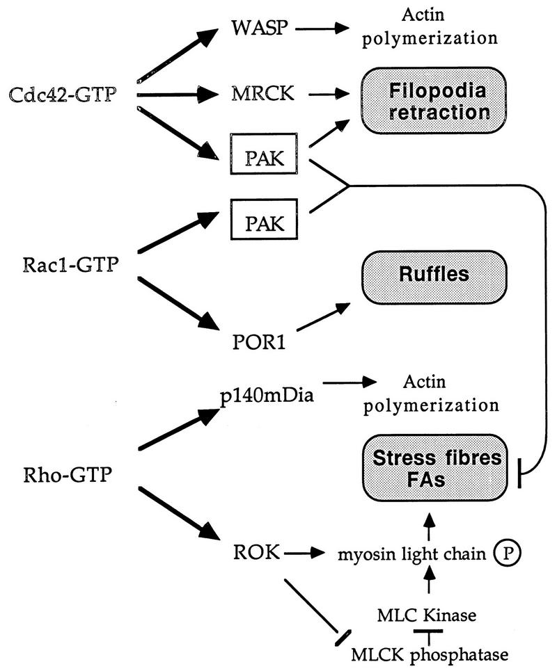 FIG. 8