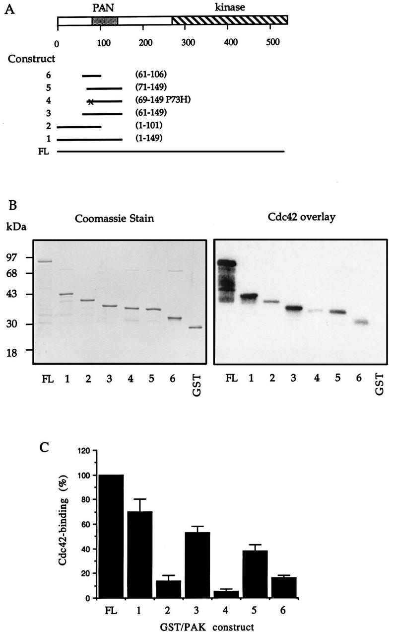 FIG. 1