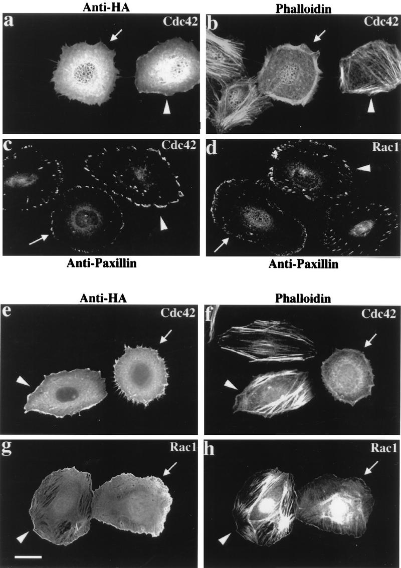 FIG. 6