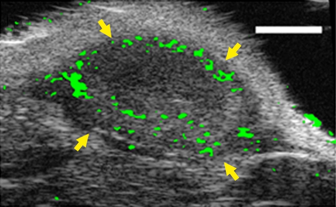 Figure 4b: