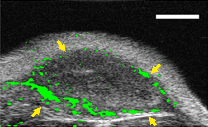 Figure 4a: