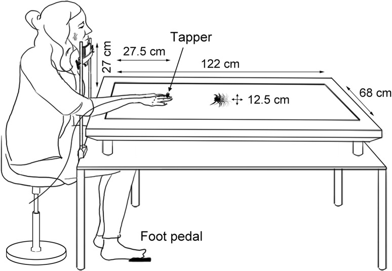 Fig. 1