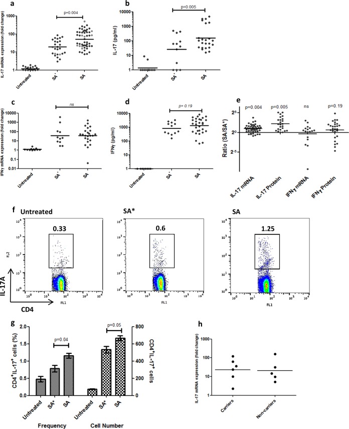 FIG 1