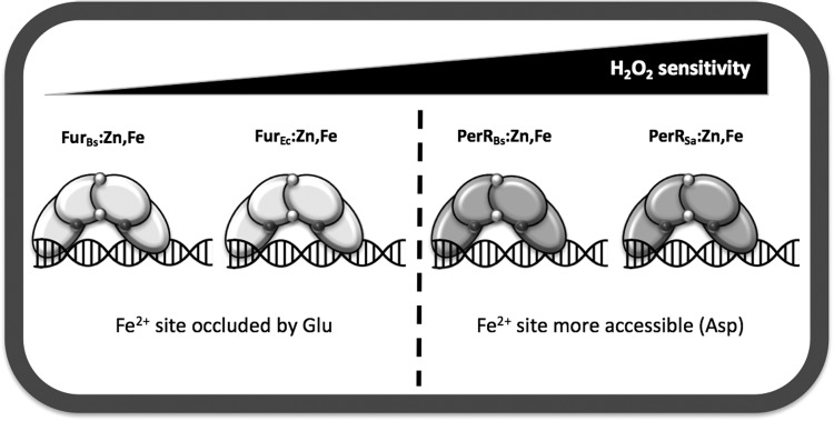 FIG. 5.