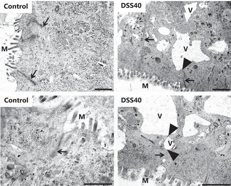 Figure 7.